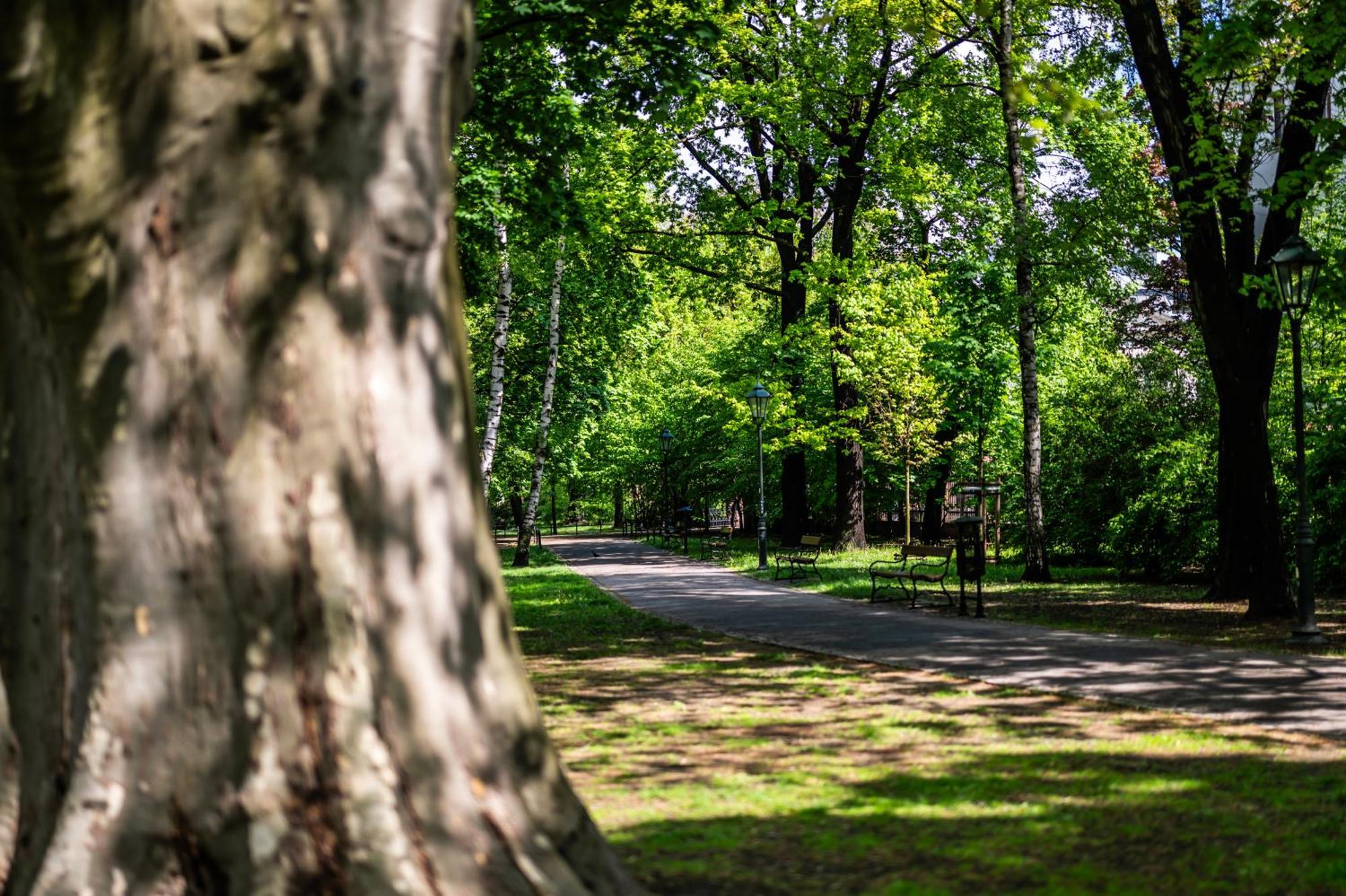 Modena Moxy Te&Am Cracow Daire Krakow Dış mekan fotoğraf